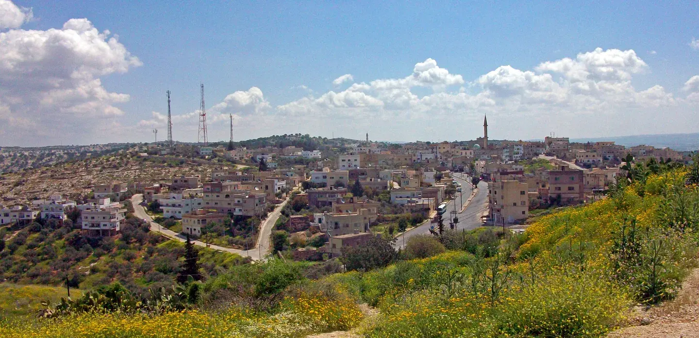Hillside view of modern Umm Qais with spring vegetation in the foreground