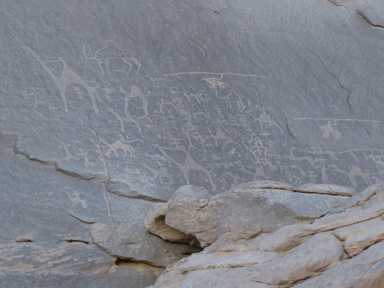 Petroglyphs in Wadi Rum