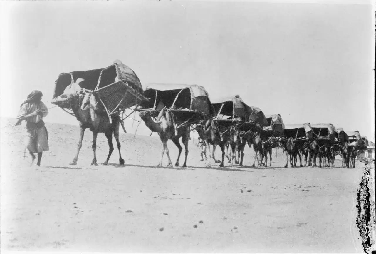 Historic camel caravan travelling toward Mecca in 1910